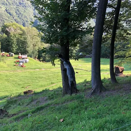 Casa vacanze Casa Dell'arte